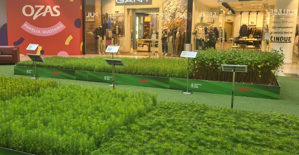 Prekybos centre Ozas – unikali galimybė pamatyti įkurdintą net 16 000 medelių mišką