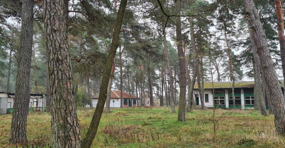 Valstybinių miškų urėdija paskelbė architektūrinio projekto pirkimą – laukiama architektų idėjų moderniam įmonės biurui