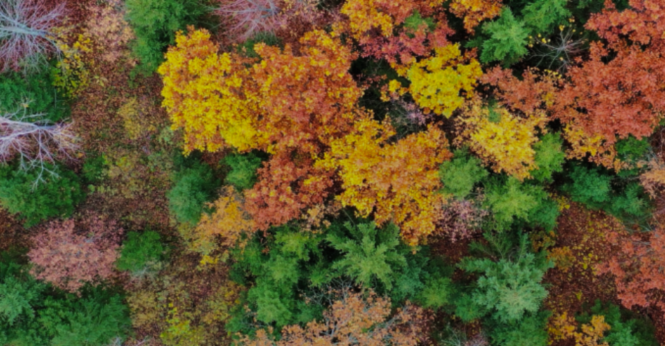 Skelbiama kandidatų atranka į tris nepriklausomų valdybos narių pozicijas