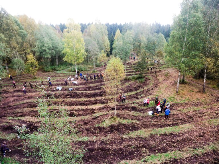 Miškasodžio šventė