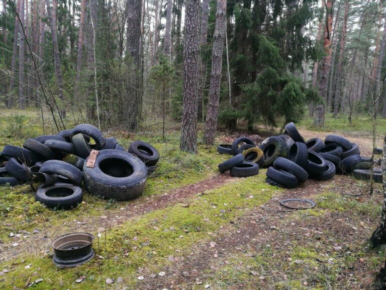 Nauja miškų tvarkymo akcija