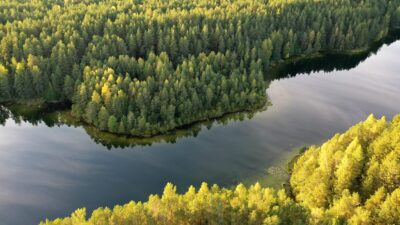 Informacinis pranešimas apie parengtą buveinių apsaugai svarbių teritorijų atrankos kriterijus atitinkančios vietovės „Tyklio ežeras ir Tyklės miškas“ (kodas LTKEL0026) gamtotvarkos planą