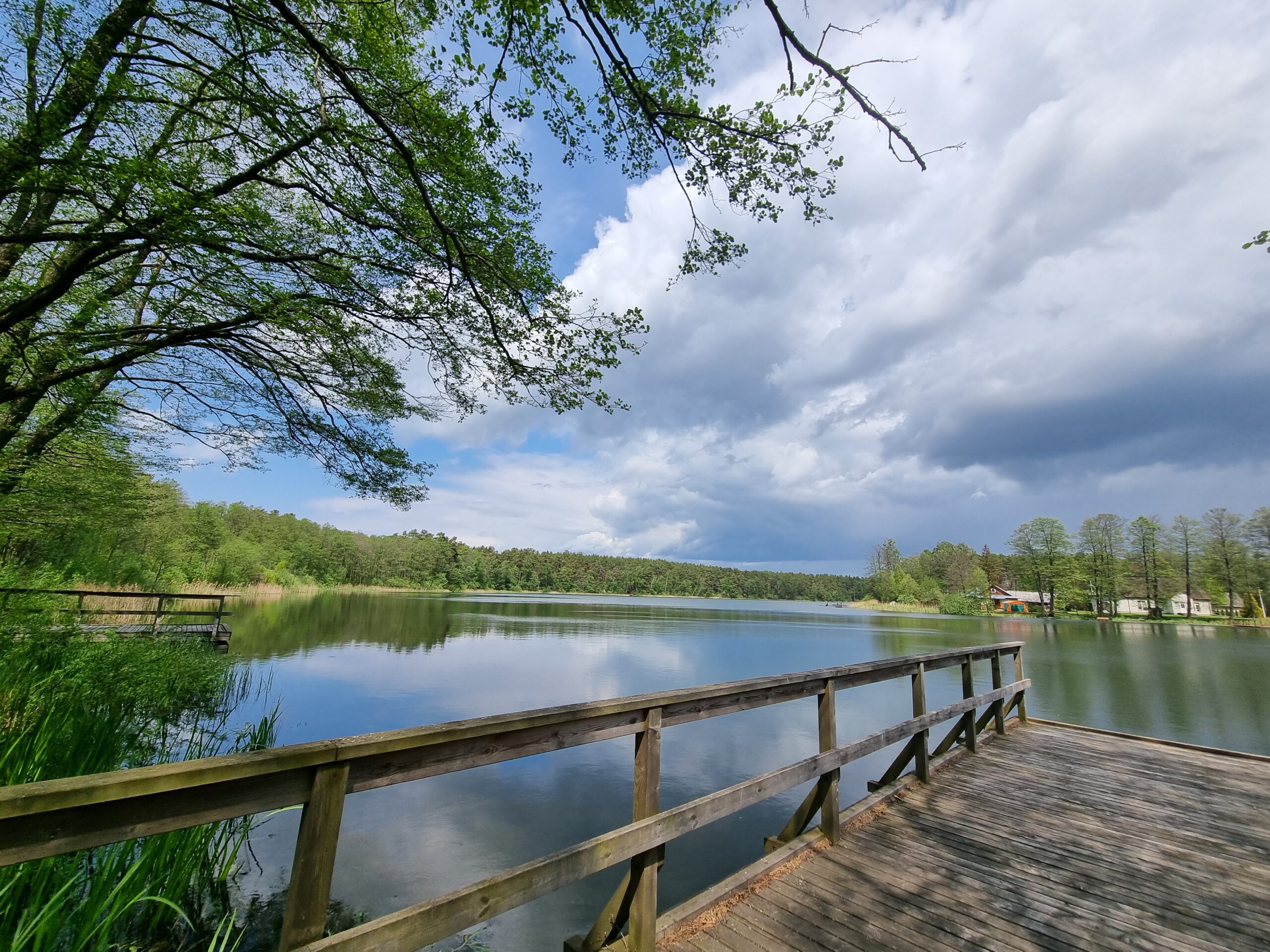 Sutikti žalvarnį Druskininkų miškuose