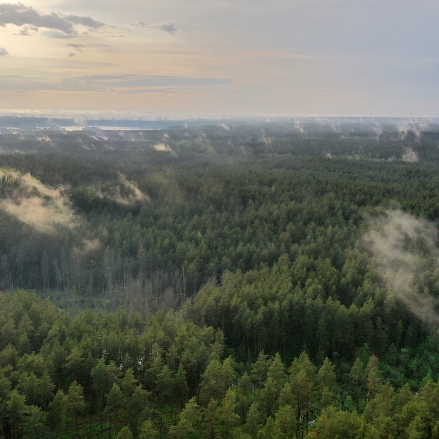 Pasitarimo metu aptarta situacija dėl gaisrų miškuose
