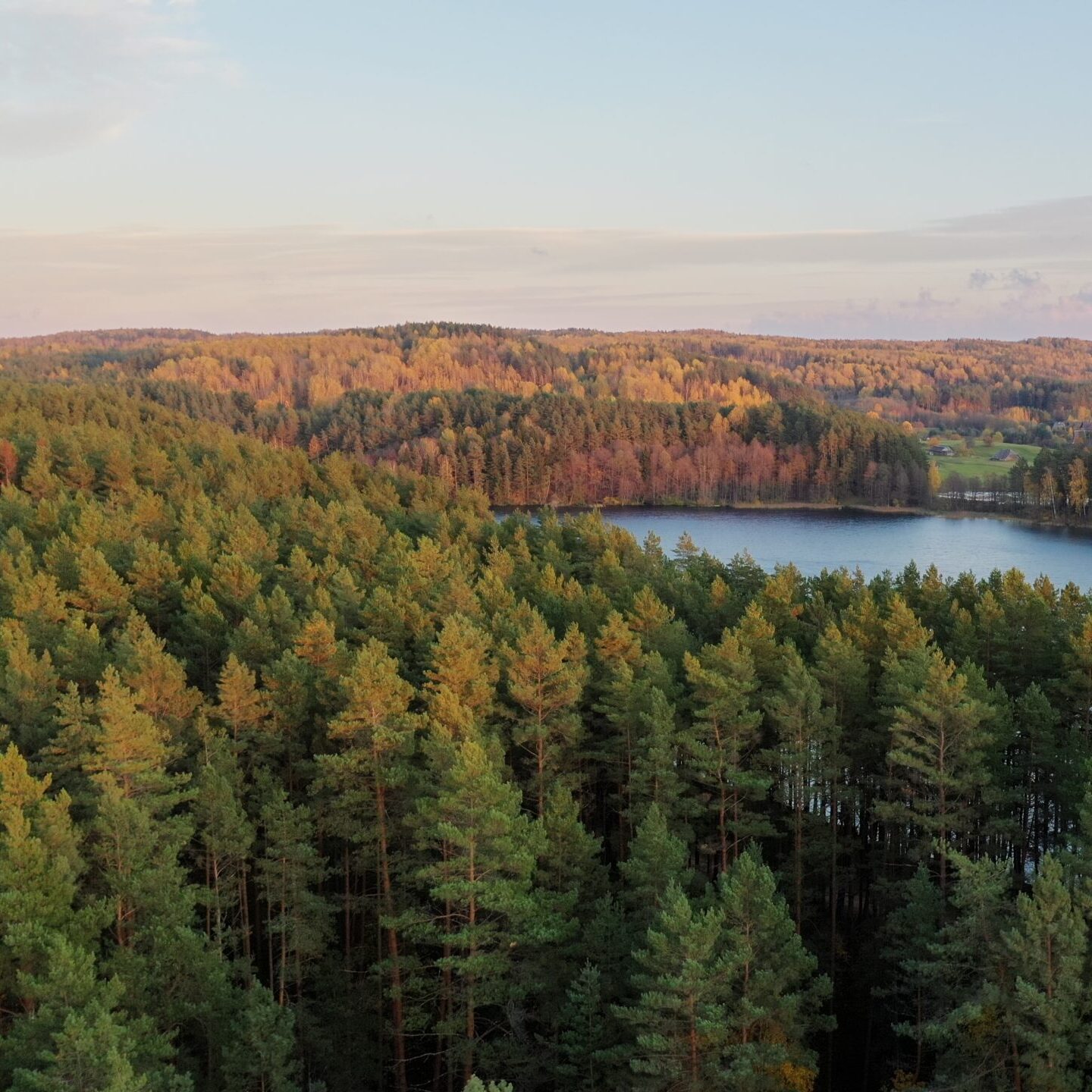 Prasidėjo registracija į medžiokles varant VĮ Valstybinių miškų urėdijos profesionalios medžioklės plotuose 2022-2023 m. medžioklės sezone