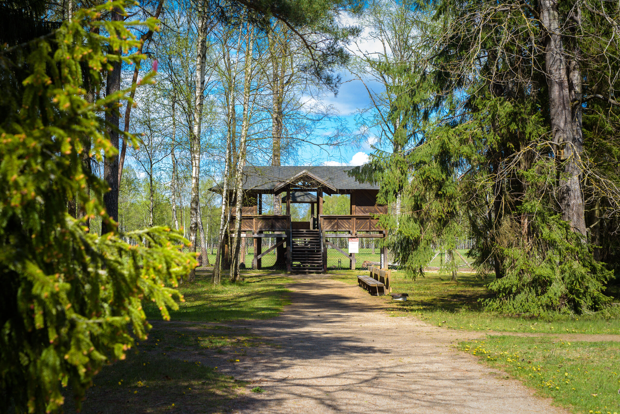 Rekonstrukcijai uždaromas VMU Pašilių stumbrynas – kitais metais vartus atvers atsinaujinęs