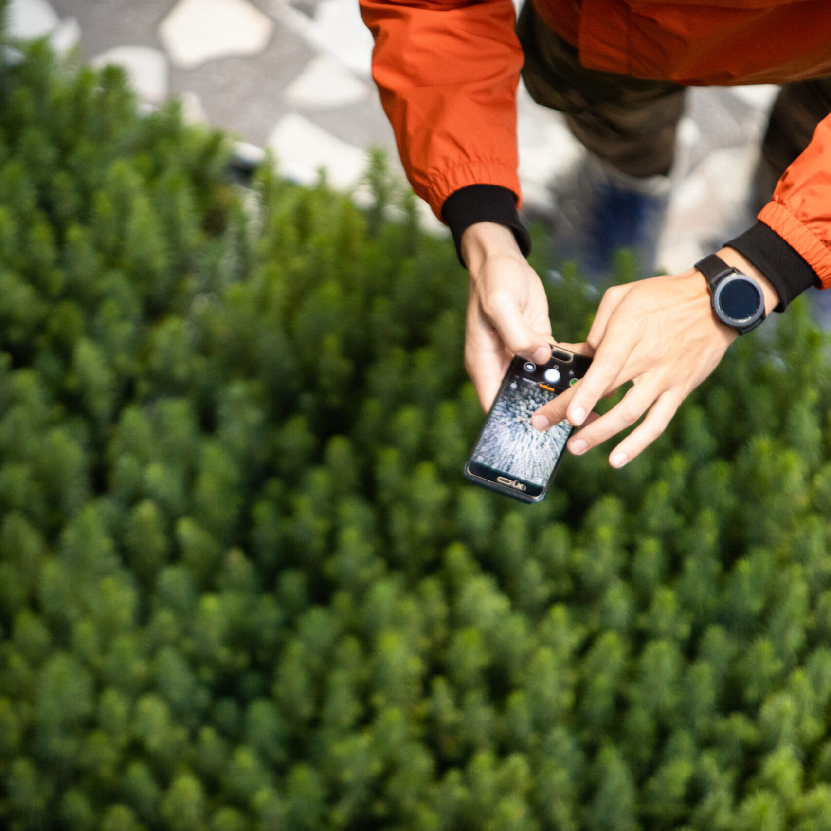 Prekybos centre „Vilnius Outlet“ lankytojus stebina žaliuojantis „Mini miškas“