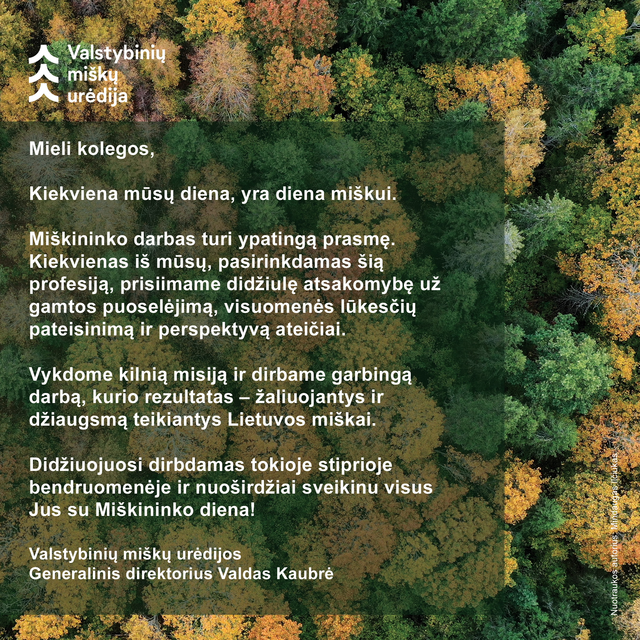 Rugsėjo 17-oji – Miškininko diena