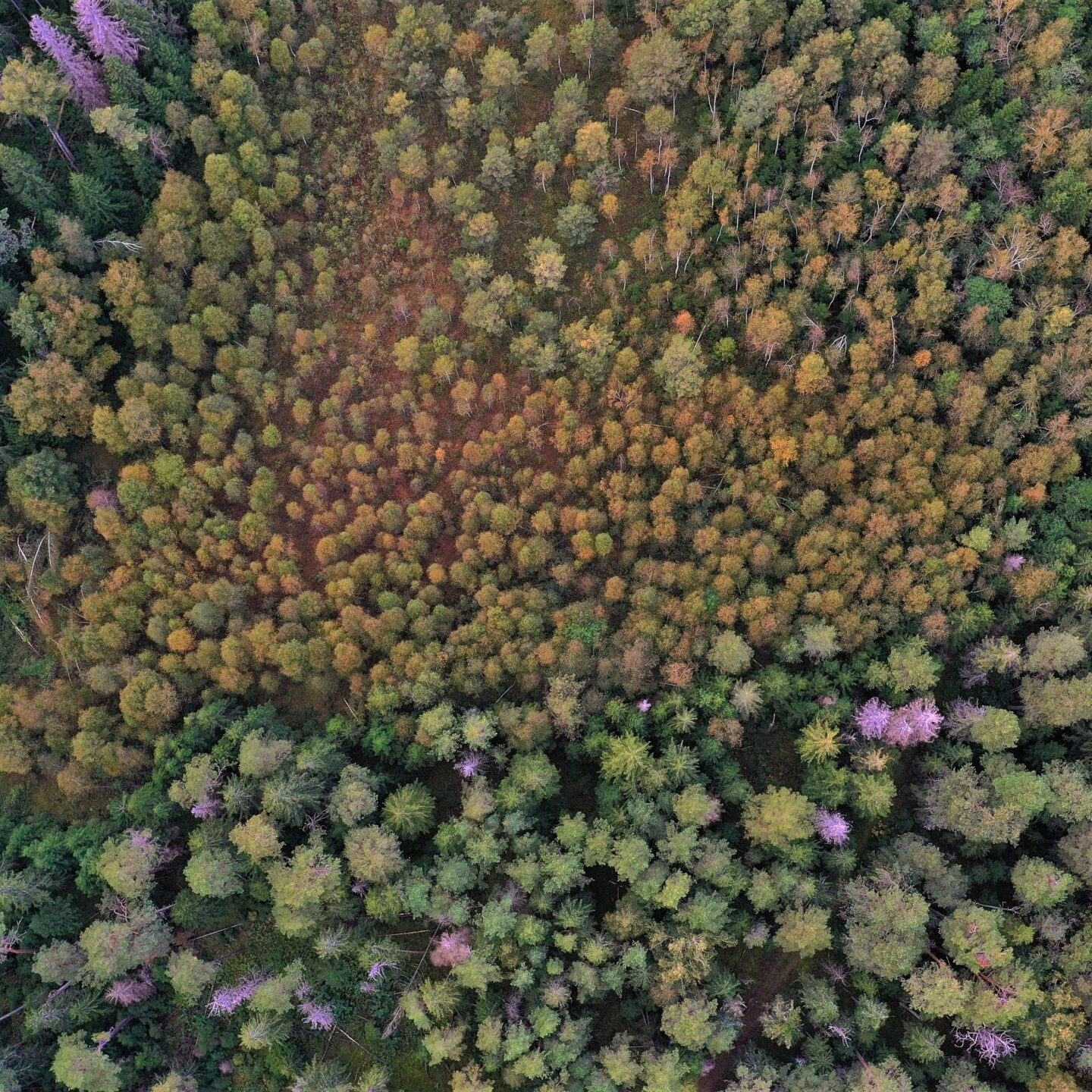 Vyksta aukcionai 2023 m. I pusmečio pusmetinėms ir ilgalaikėms sutartims sudaryti