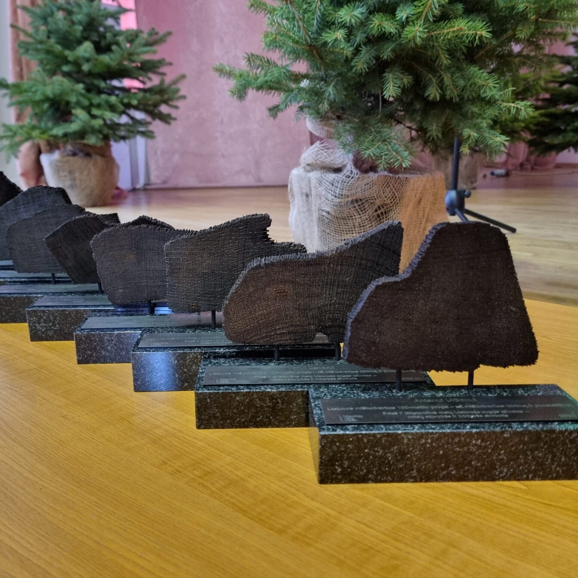 Lietuvos miškotvarkai – 100 metų: nuo ranka pieštų sudėtingų žemėlapių iki lazerinio miškų skenavimo