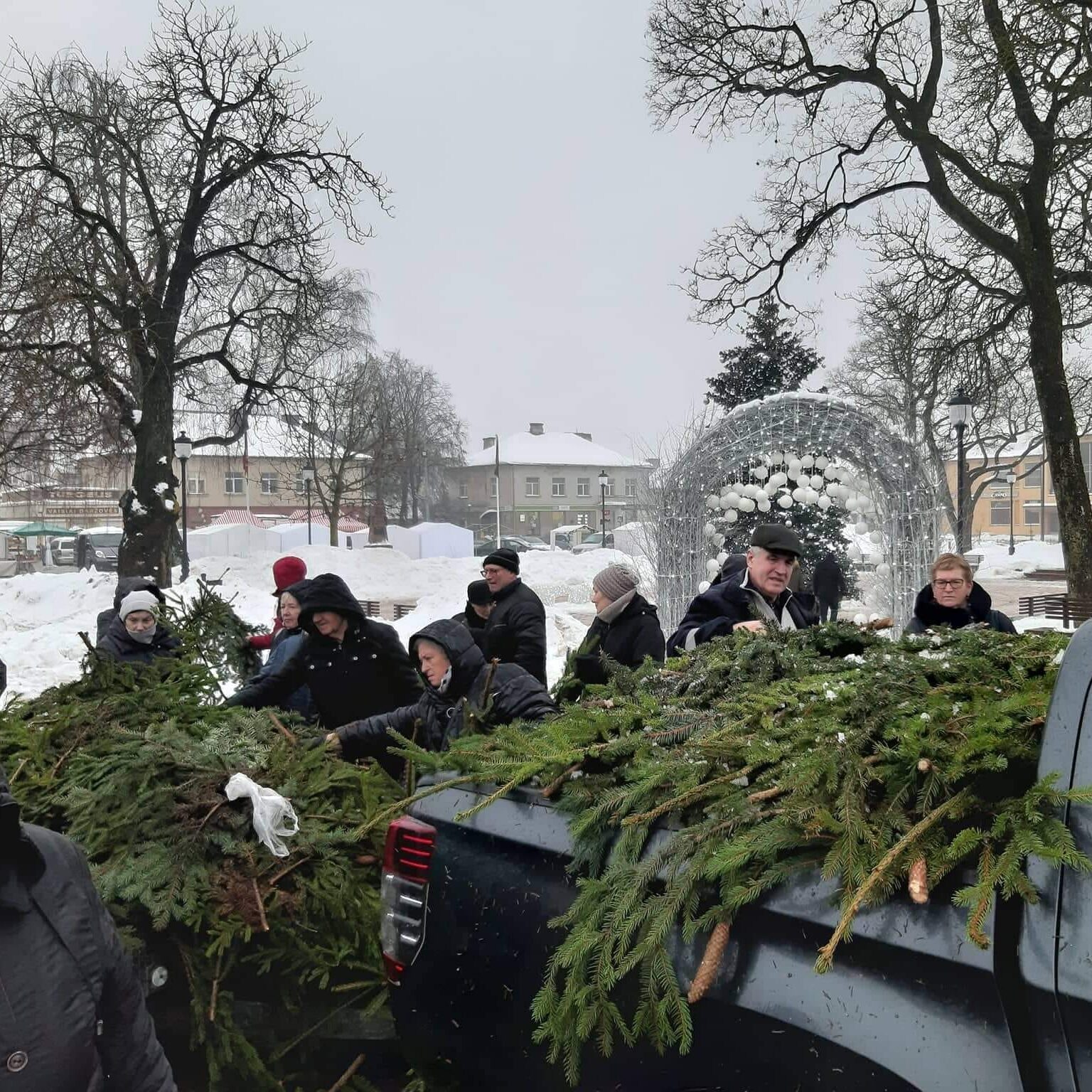 Miškininkų dovanos gyventojams: visoje Lietuvoje išdalino tūkstančius eglių šakų