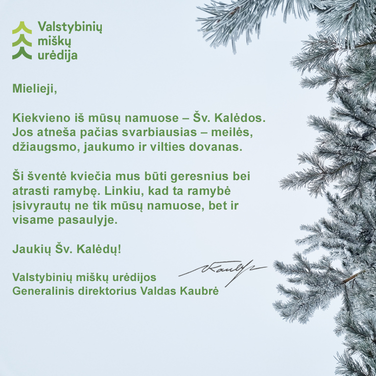 Jaukių Šv. Kalėdų!