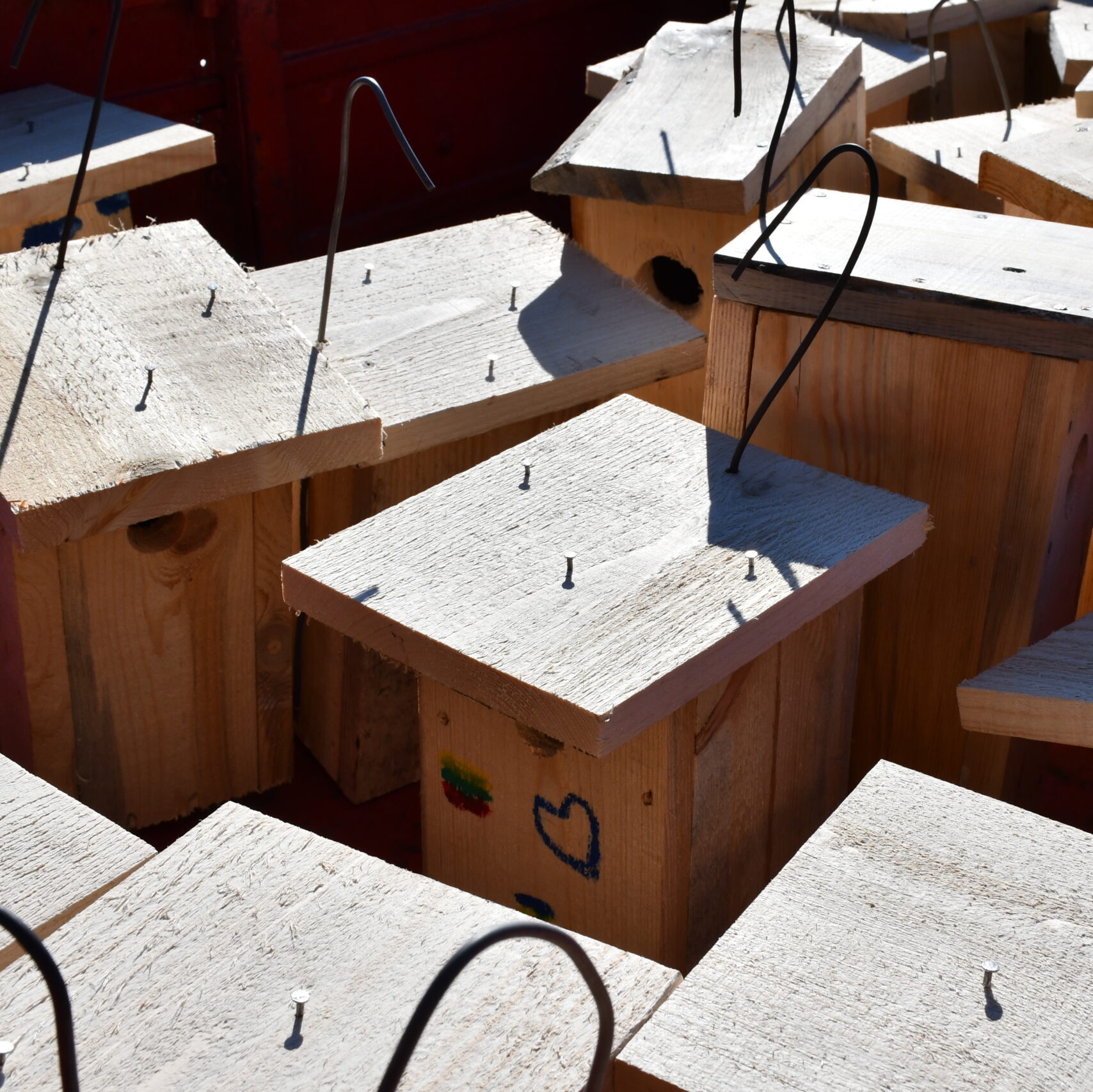 Miškininkai ruošiasi pavasariniam paukščių sugrįžimui ir pataria, kaip tinkamai paruošti namus sparnuočiams