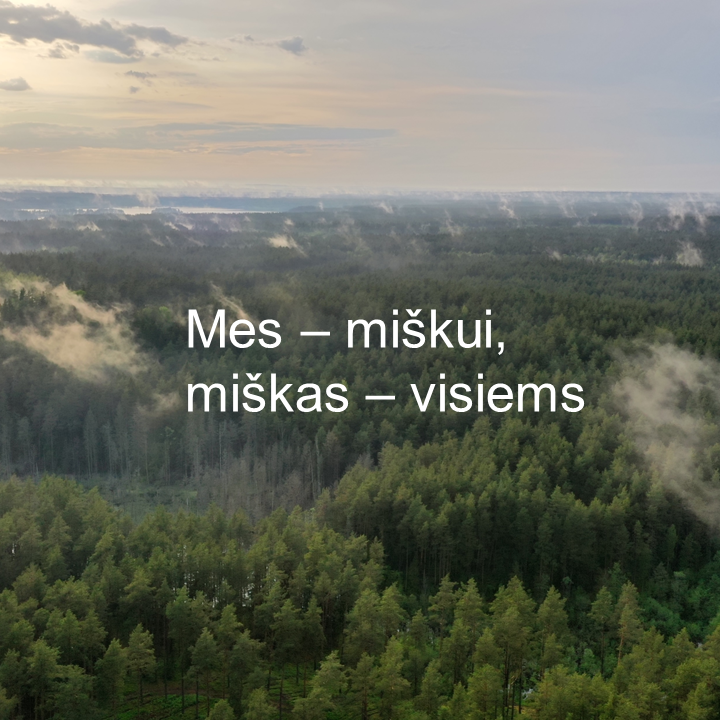 Valstybinių miškų urėdijai – 5-eri metai!