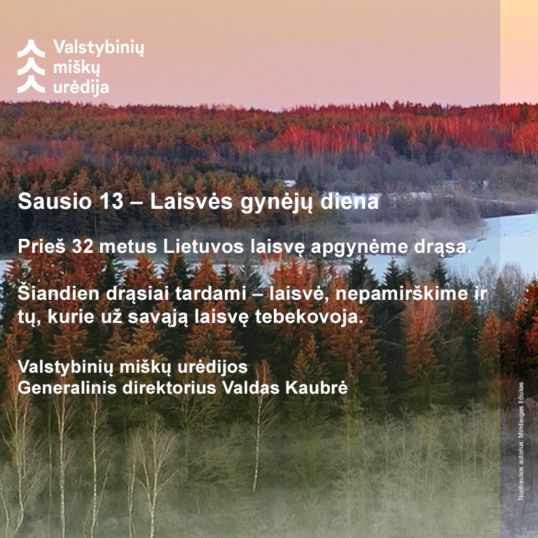 Sausio 13-oji – Laisvės gynėjų diena