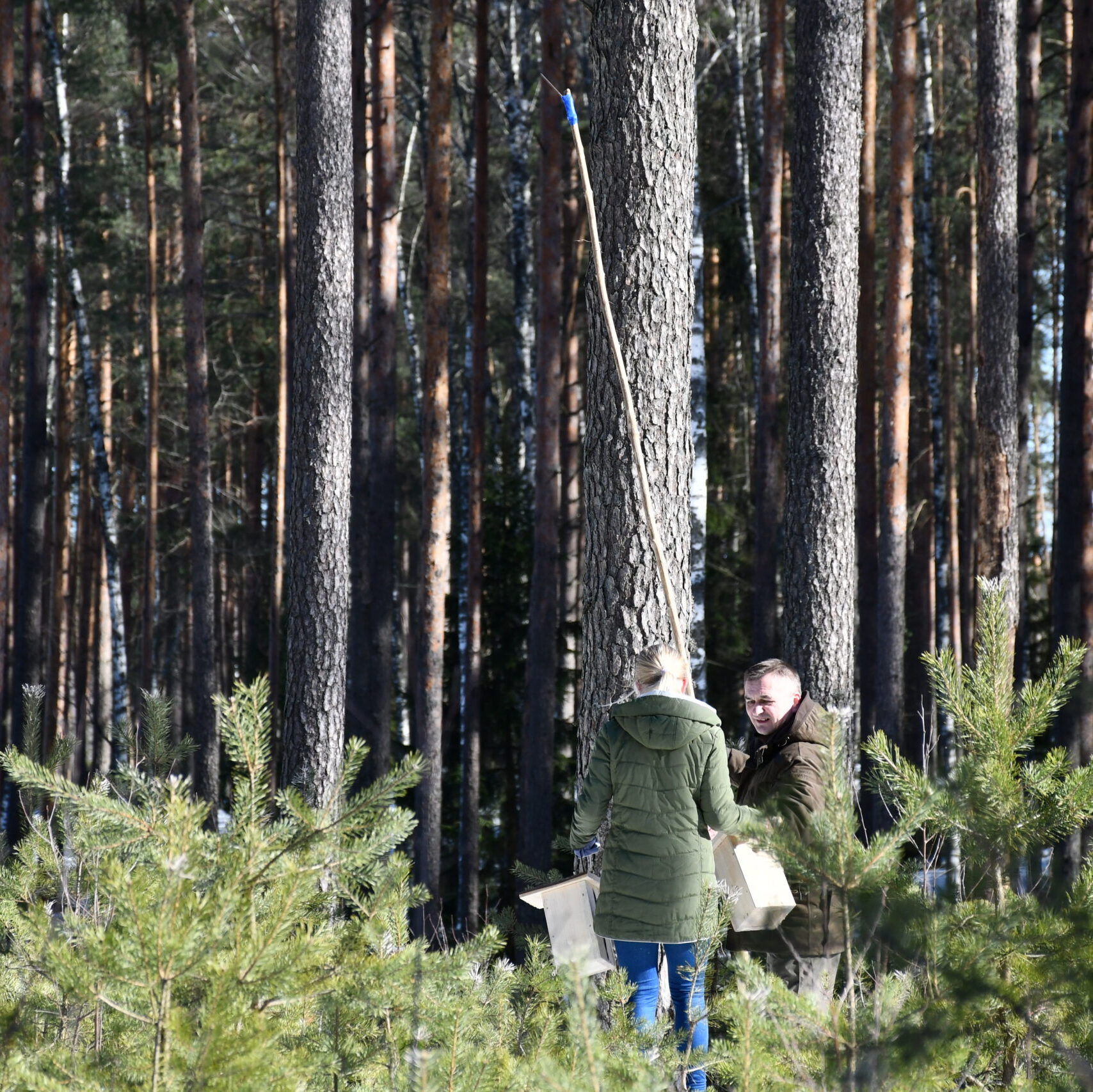 Paukščiai grįžta namo – kaip pasigaminti inkilą pelėdai