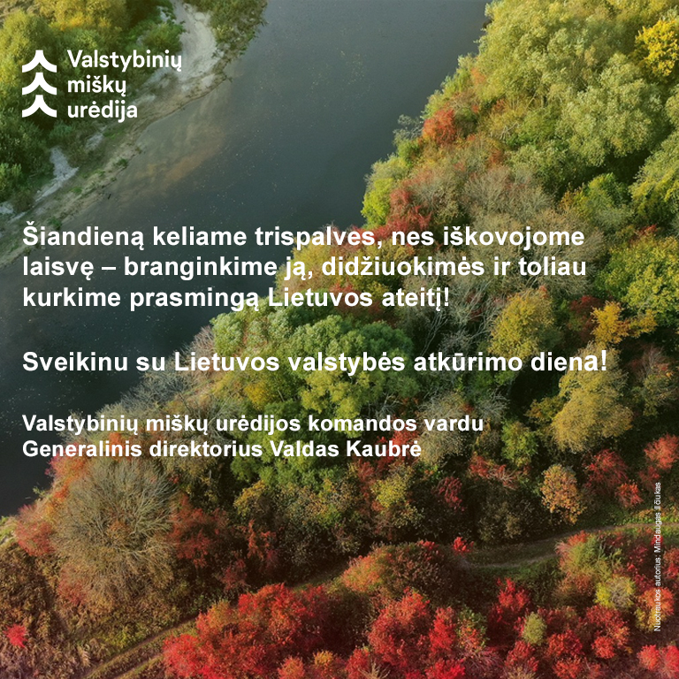 Vasario 16-oji – Lietuvos valstybės atkūrimo diena