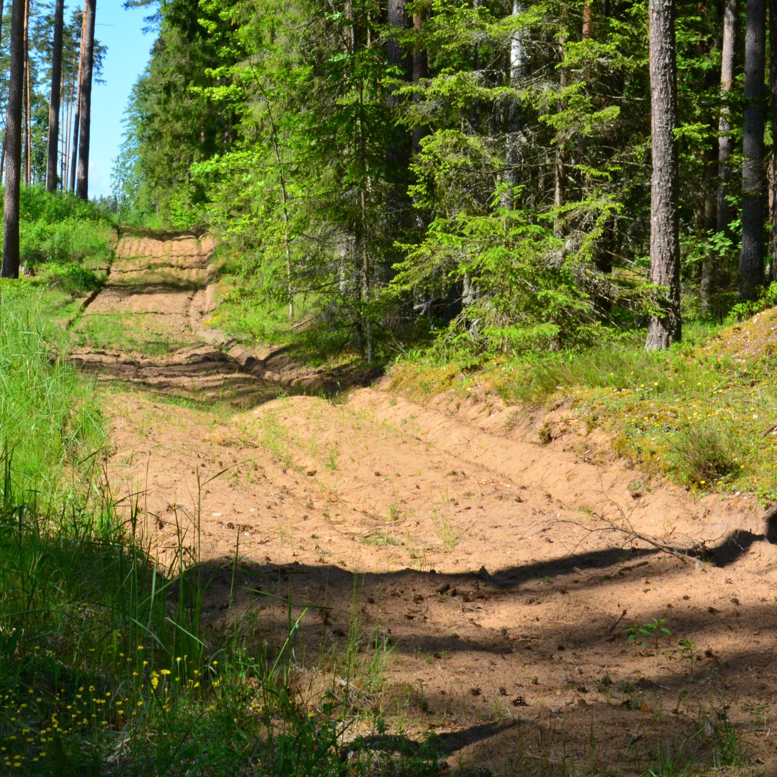 Gegužę miškininkai tikrins ar keturračių vairuotojai miškuose laikosi taisyklių