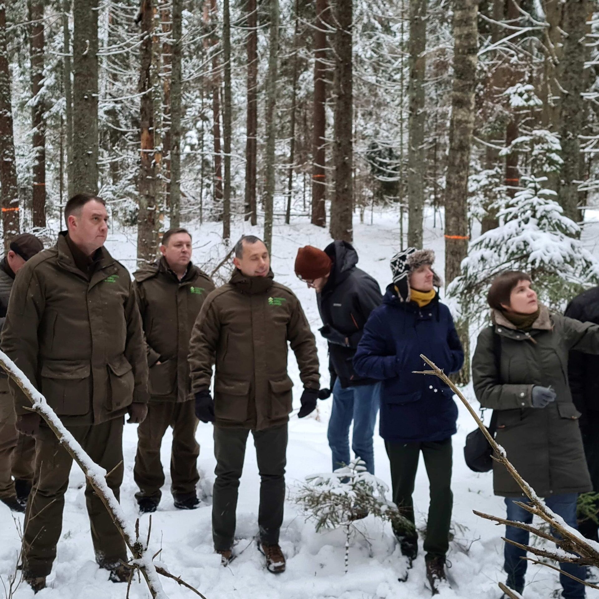 Susitikimas miške: VMU parodė kenkėjų pažeistas teritorijas, diskutuota apie sanitarinę miško apsaugą