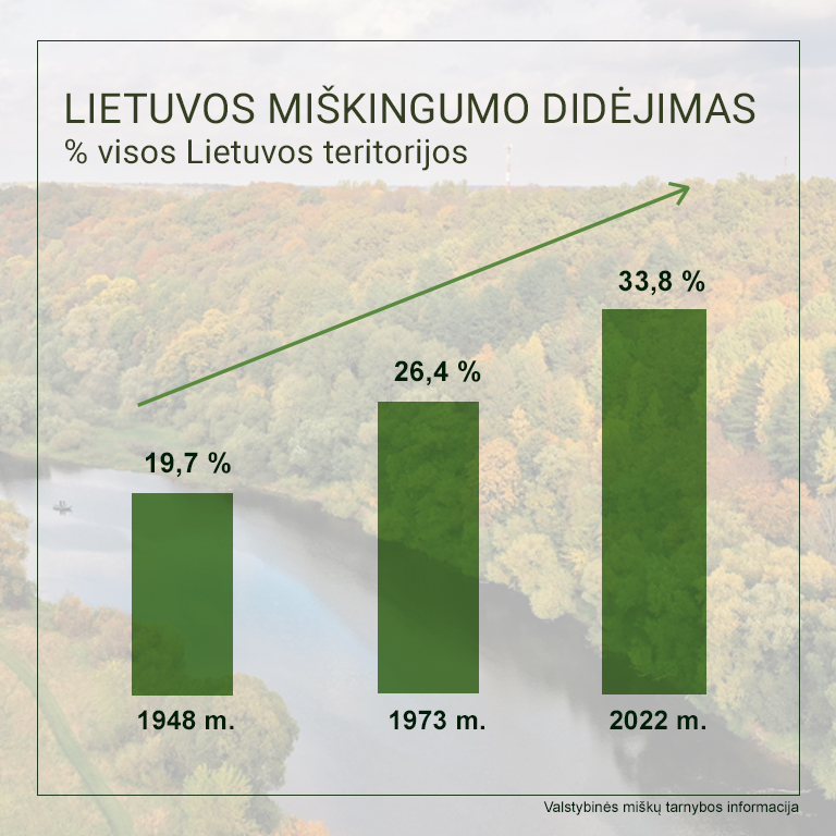 Informacija apie Lietuvos miškus