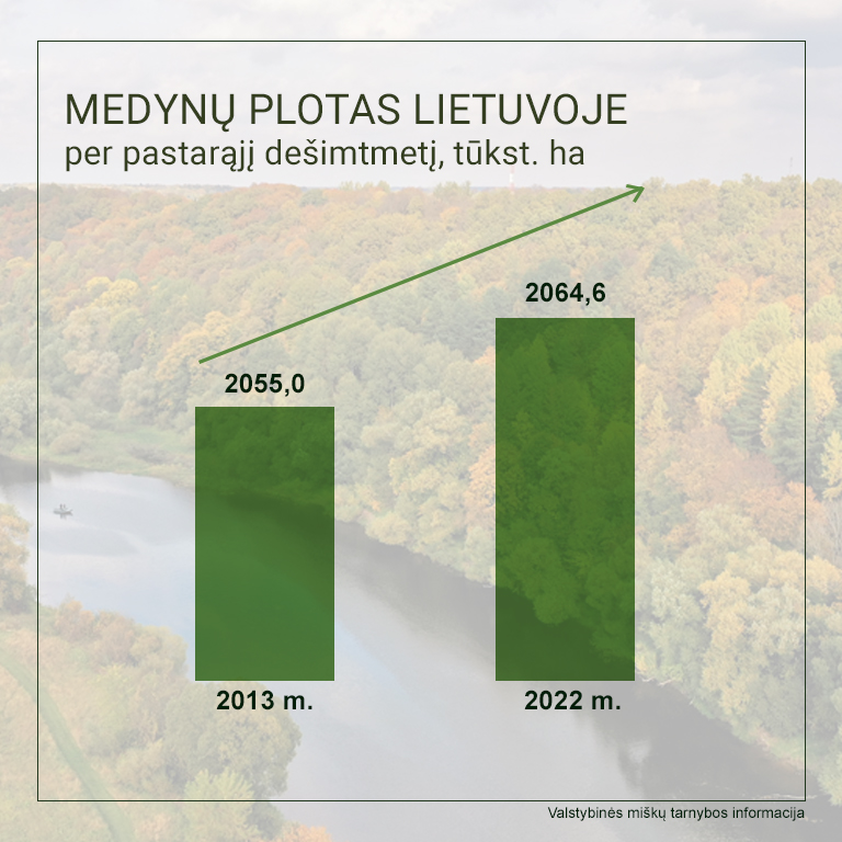 Informacija apie Lietuvos miškus