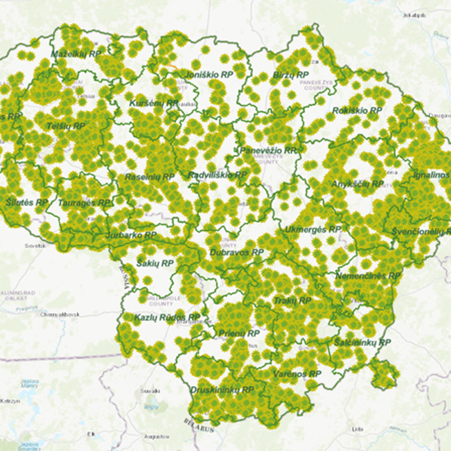 Keičiasi sanitarinės miško apsaugos kokybė: iliustruojama žemėlapyje