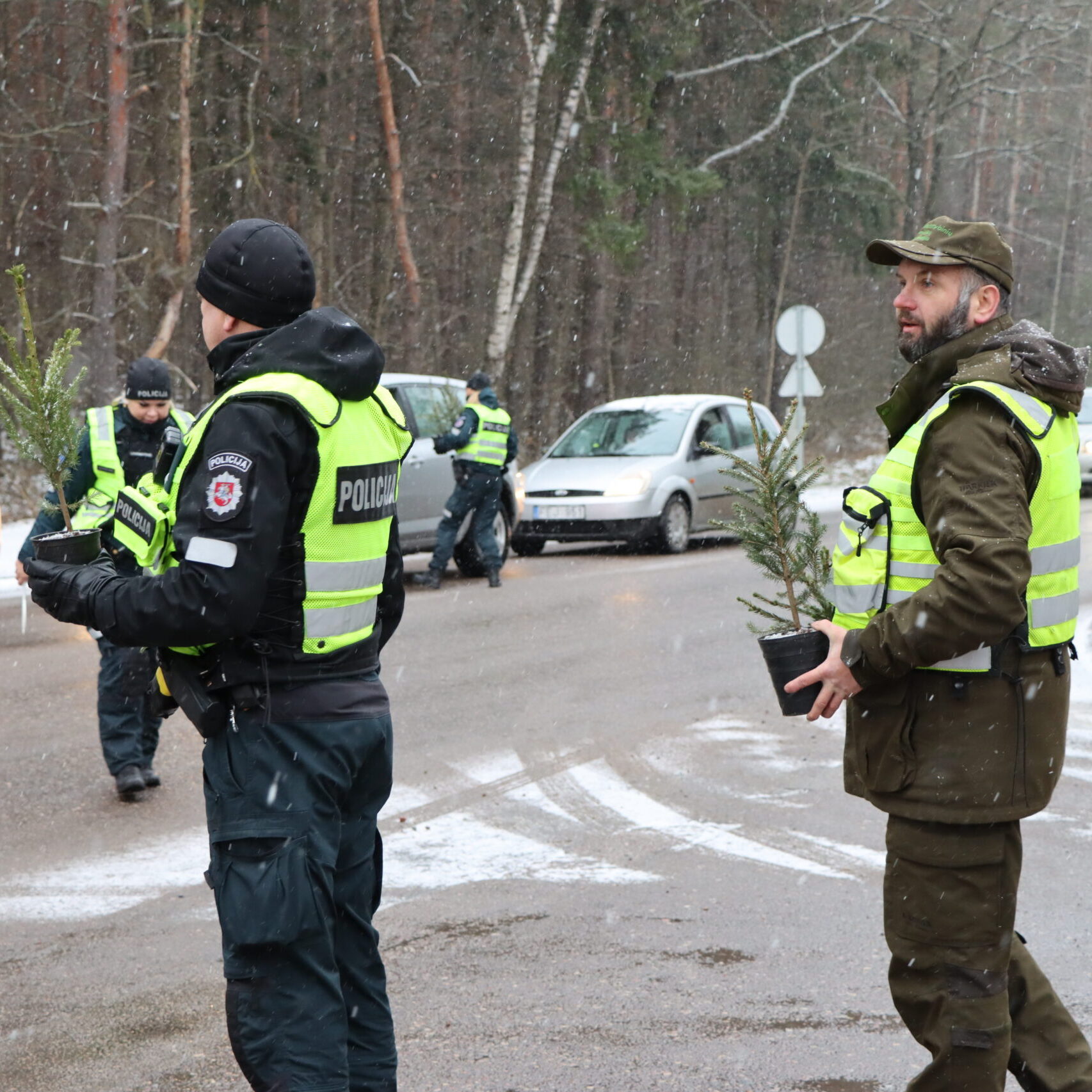 Akcija „Eglutė“ – miškininkai kartu su policijos pareigūnais vairuotojams dovanos kalėdinius medelius