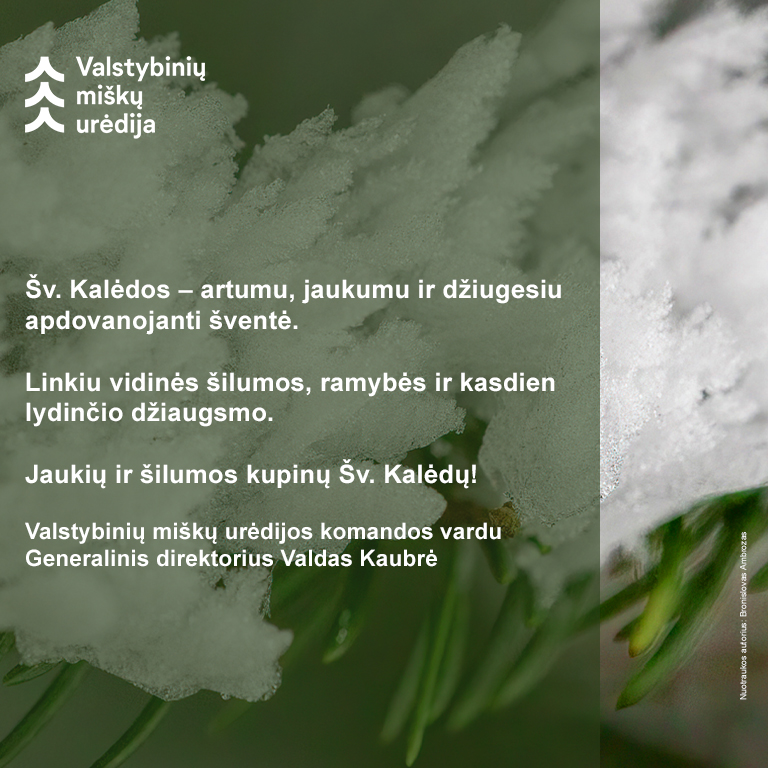 Gražių ir jaukių Šv. Kalėdų!