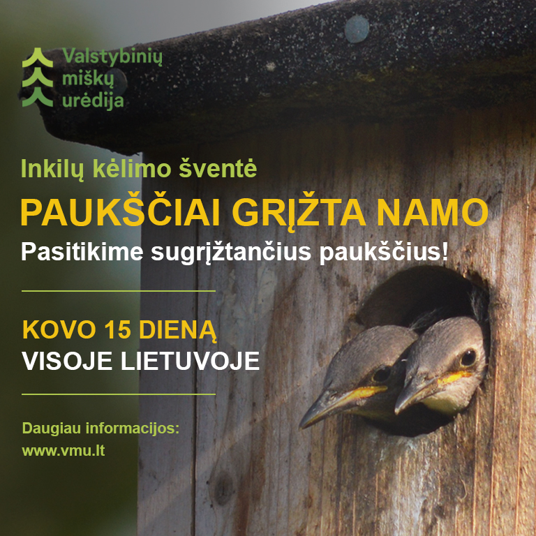 Paukščiai grįžta namo – sparnuotų giesmininkų sutiktuvės visoje Lietuvoje