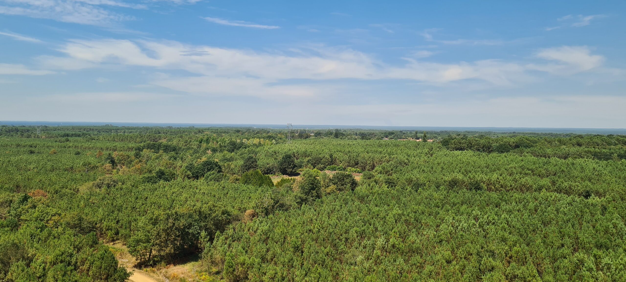 Projektas „Vieningos miško gaisrų stebėjimo sistemos įdiegimas“