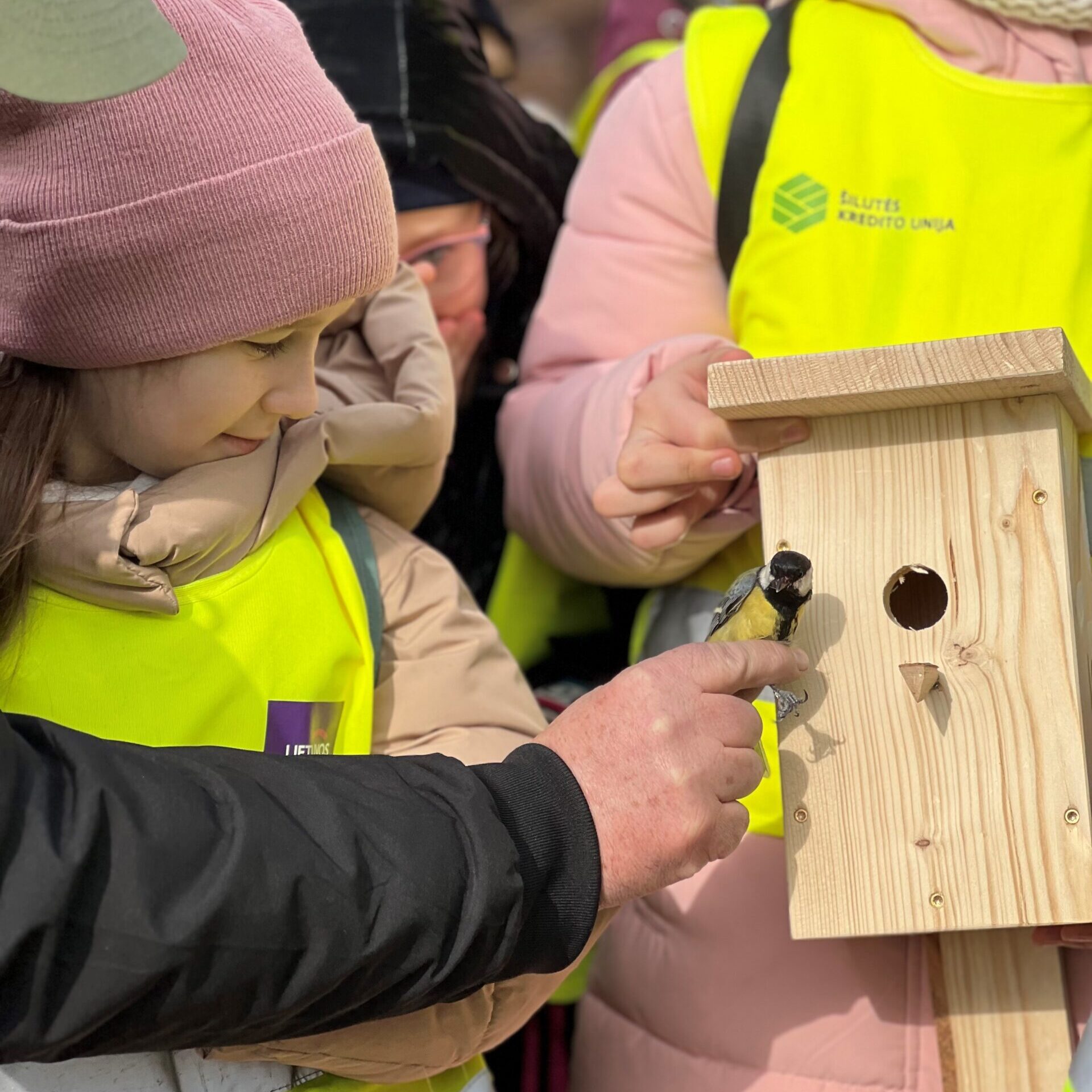 „Paukščiai grįžta namo“: tūkstančiai iškeltų inkilų ir išskirtinės lesyklėlės atidengimas paukščių sostinėje
