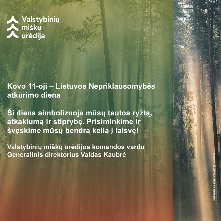 Kovo 11-oji – Lietuvos Nepriklausomybės atkūrimo diena