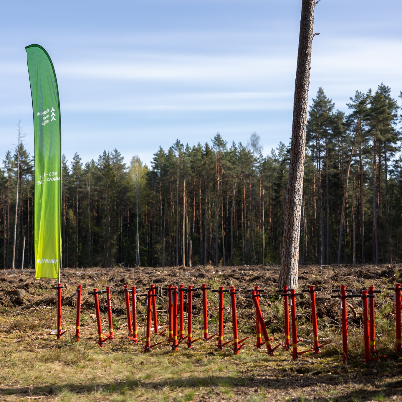 Komikas Mantas Bartuševičius domėjosi ūkininkavimu miškuose: medžiai nėra tik kertami, jie kasmet ir sodinami