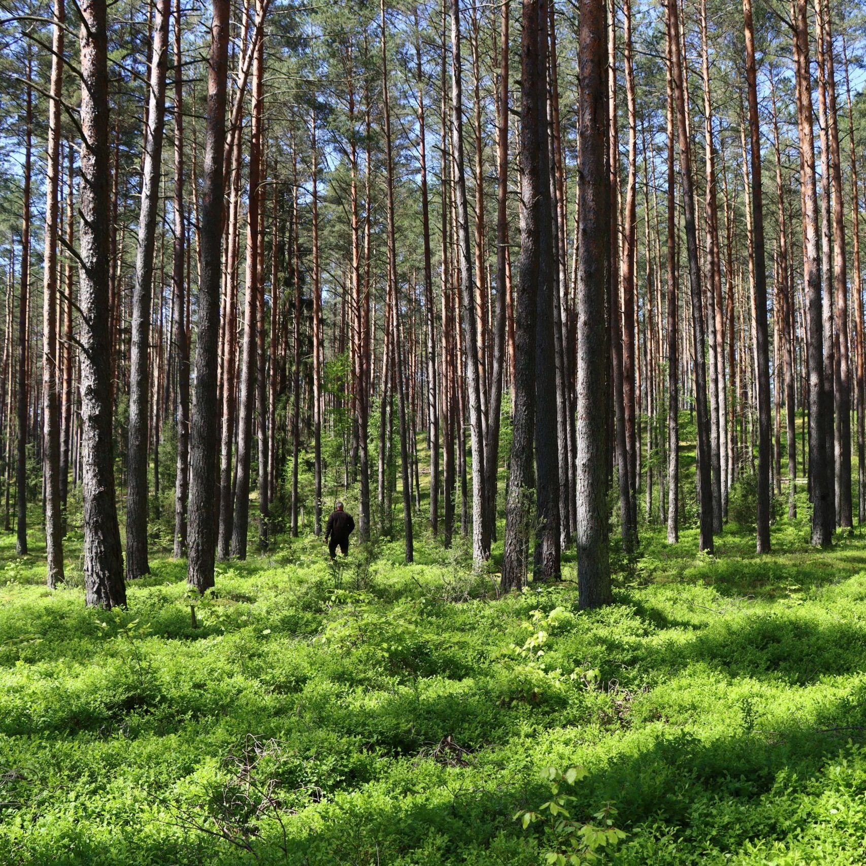 VMU indėlis į valstybės biudžetą už 2023 m. – 121 mln. Eur