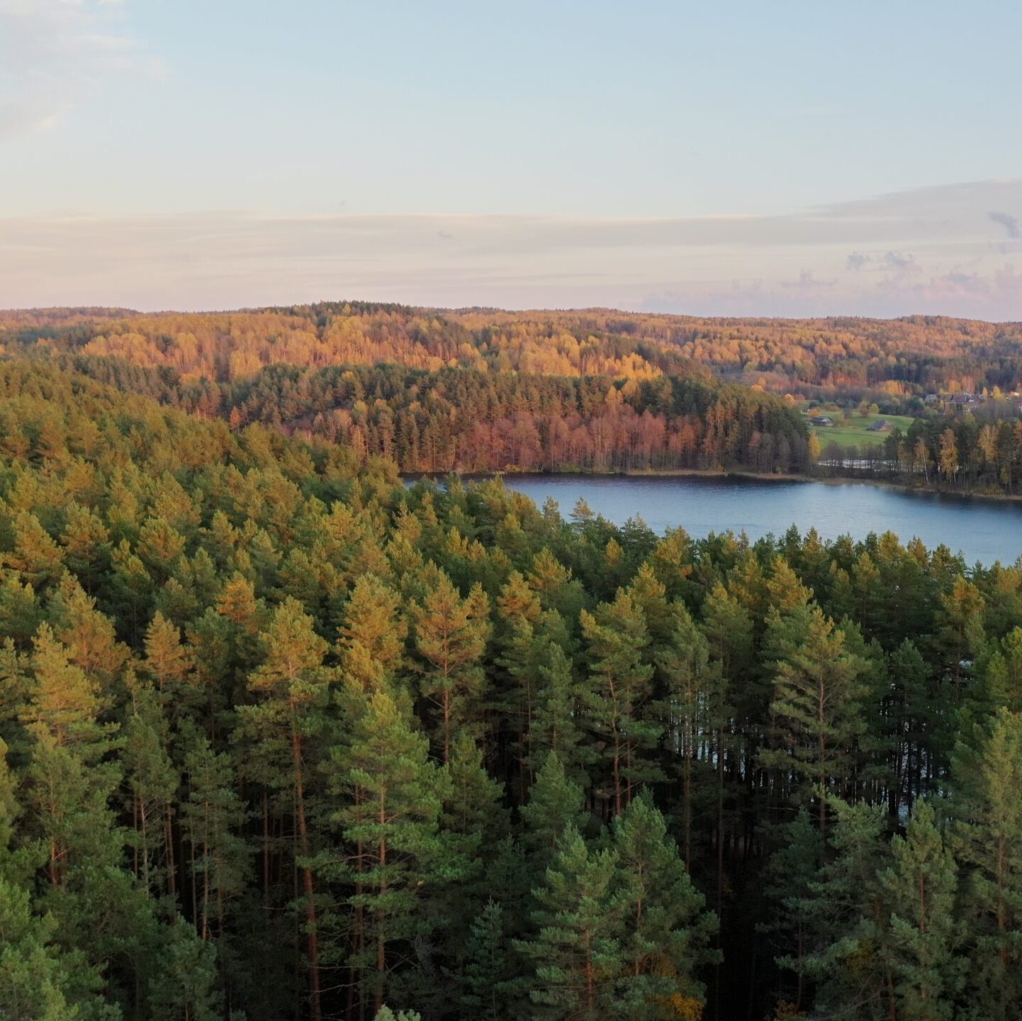 Valstybinių miškų urėdijai bus perduota 3,1 tūkst. ha miškų ūkio paskirties žemės, joje bus įveisiami ir nauji miškai