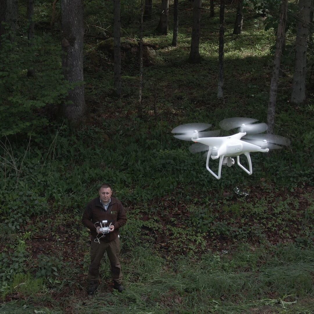 Šimtamečių miškininkystės tradicijų ir žinių derinimas su šiuolaikinėmis inovacijomis