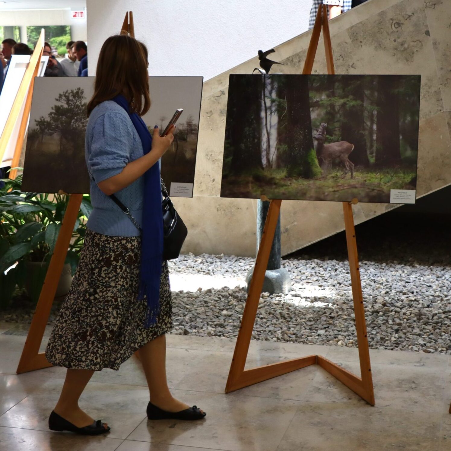 Fotografijų paroda „Gamtos vertybės miškininko akimis“ LR Seime