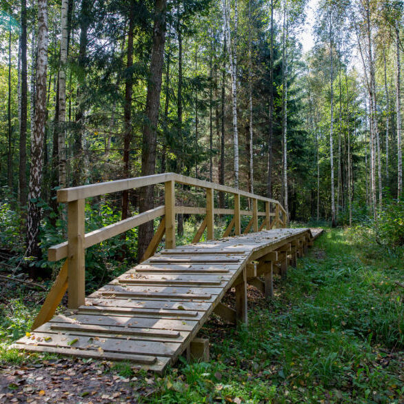 Suvalkijos miškų lobiai: kokius objektus verta aplankyti ir pamatyti?