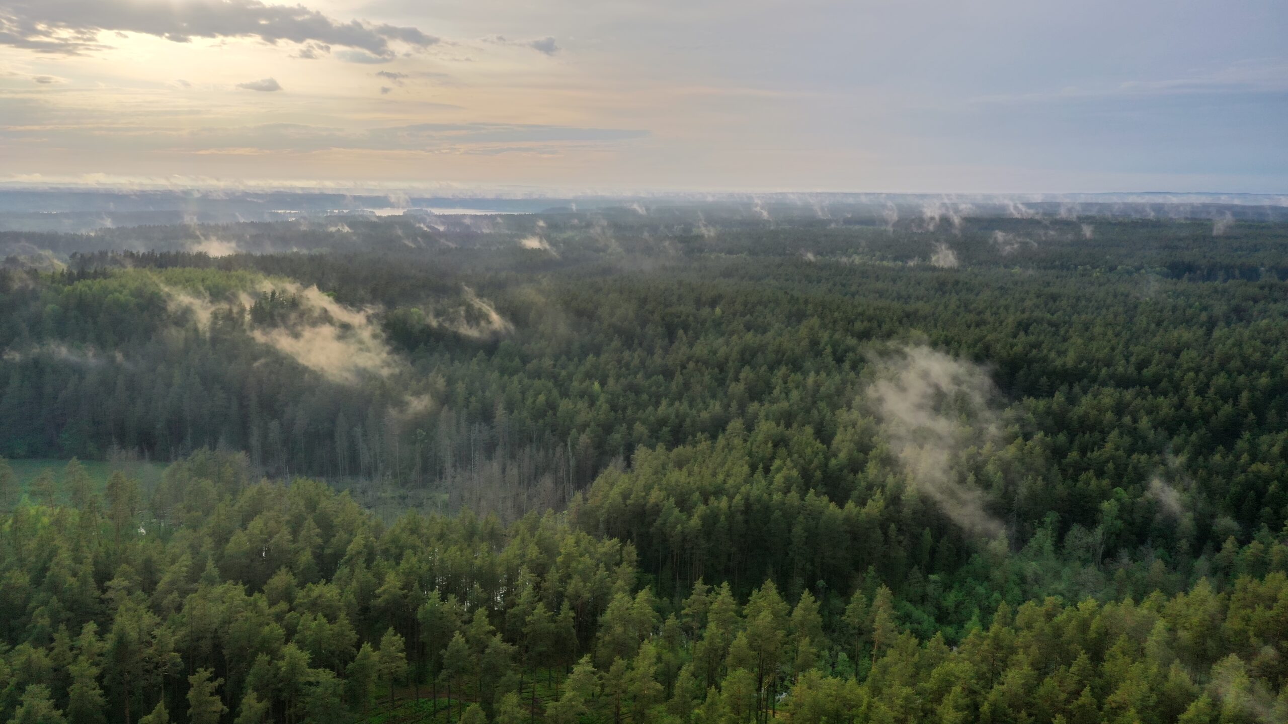 Informacinis pranešimas apie parengtą buveinių apsaugai svarbių teritorijų atrankos kriterijus atitinkančios vietovės „Gervelės pelkė“ (kodas LTIGN0017) gamtotvarkos planą