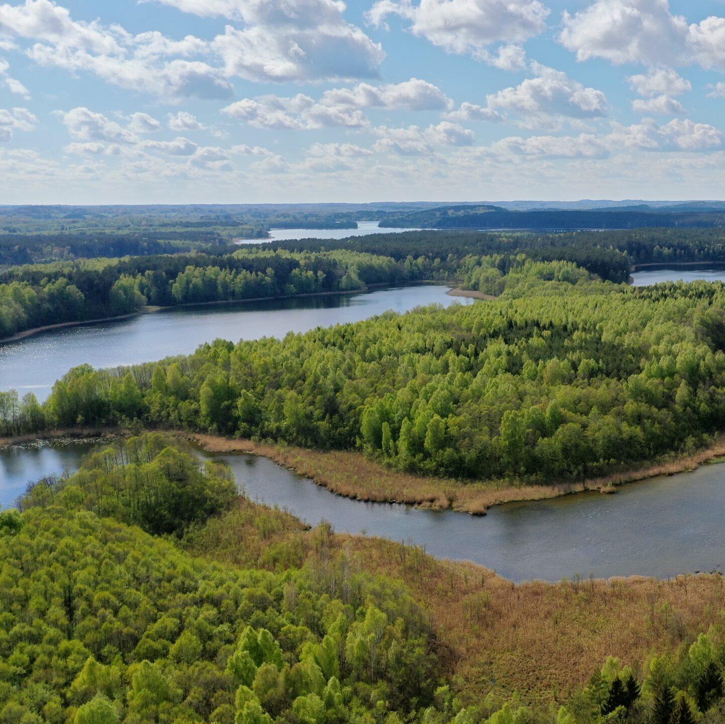 Miškininkystė sujungė ir pomėgį gamtai, ir ambicijas nuolat tobulėti