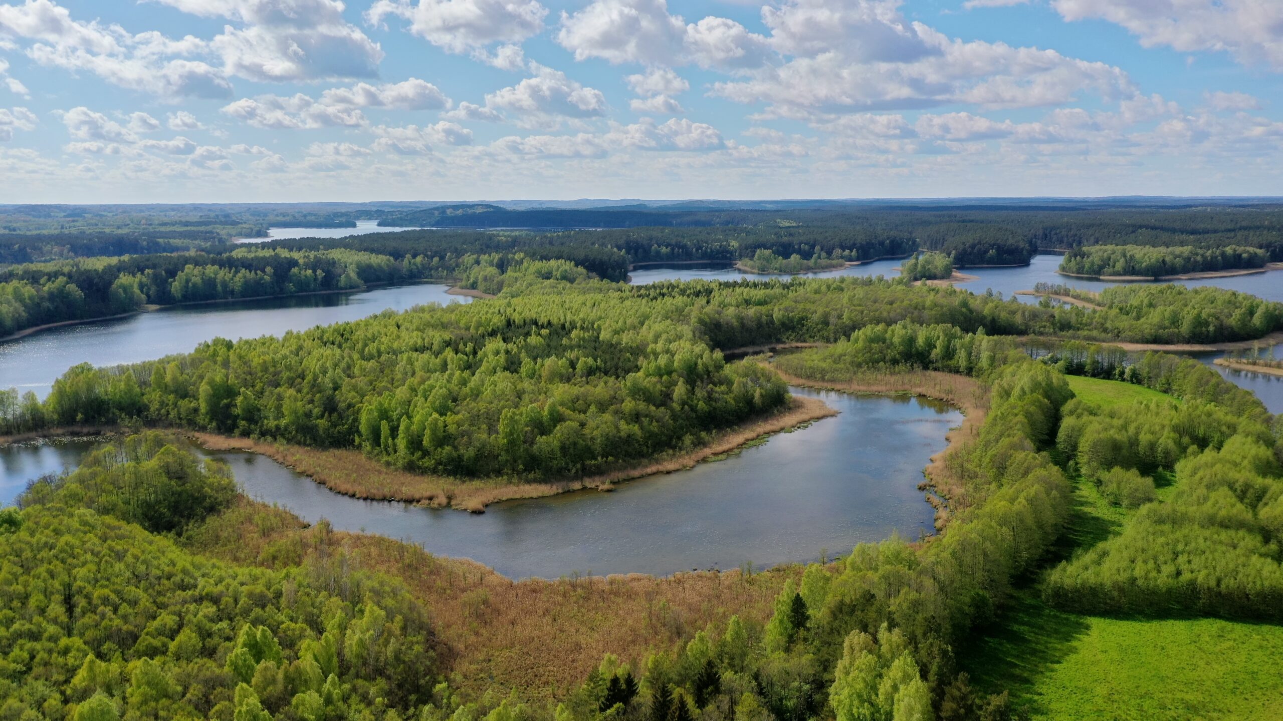 INFORMACINIS PRANEŠIMAS APIE RENGIAMĄ VALSTYBĖS ĮMONĖS VALSTYBINIŲ MIŠKŲ URĖDIJOS DUBRAVOS REGIONINIO PADALINIO VIDINĖS MIŠKOTVARKOS PROJEKTO KEITIMĄ
