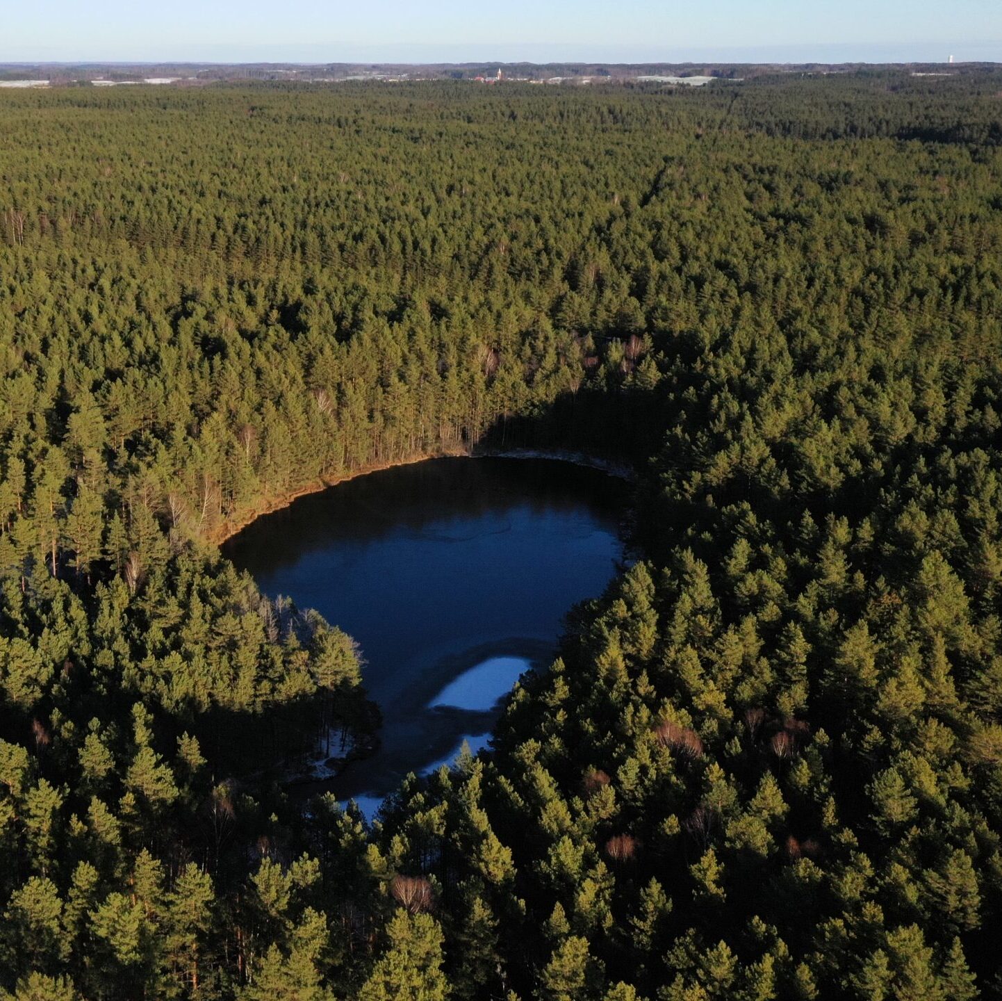 VMU I pusmečio rezultatai: nepaisant medienos kainos kritimo, įmonės finansiniai rezultatai išlieka stabilūs