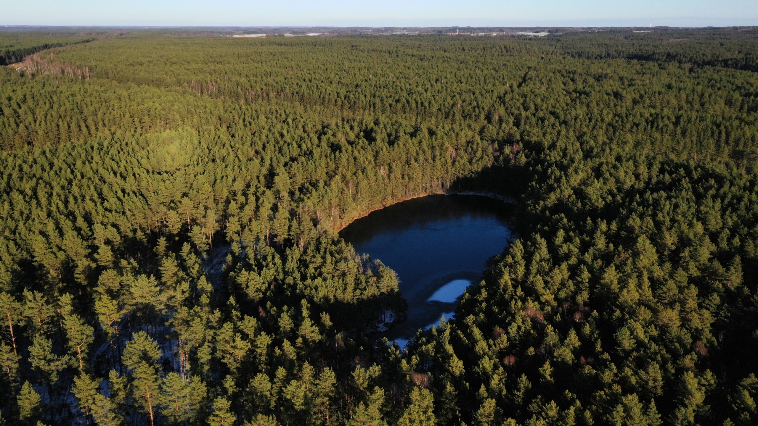 Informacinis pranešimas apie parengtą buveinių apsaugai svarbios teritorijos „Dautarų miškas“ (Kodas LTMAZ0005) gamtotvarkos planą