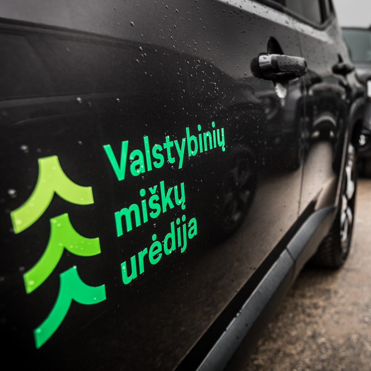 VMU automobilių parką atnaujina 89 elektromobiliais: investicijos atsipirks mažesniu poveikiu gamtai