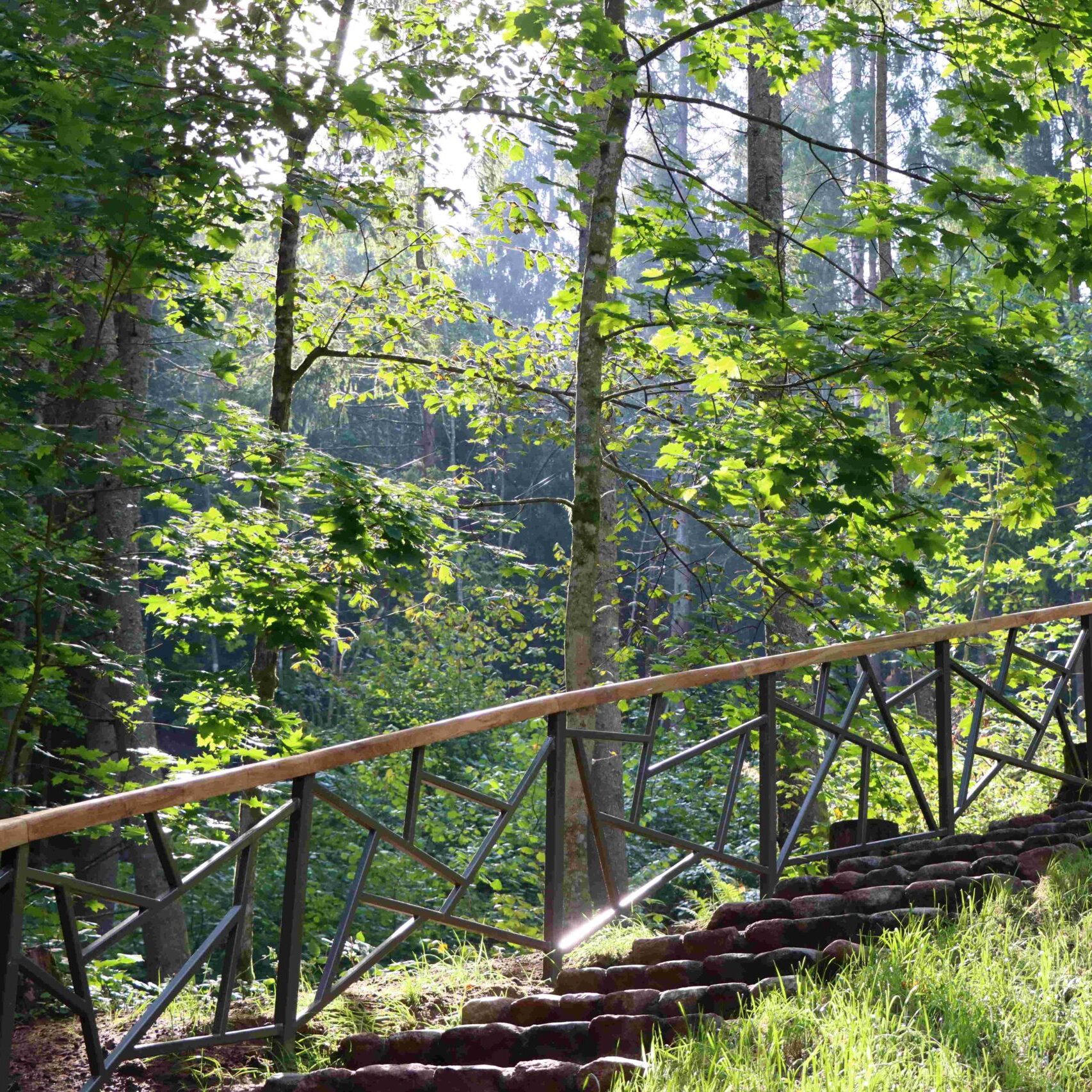 Miškai prabyla žemaitēškā – po atnaujinimo lankytojų laukia Lopaičių pažintinis takas