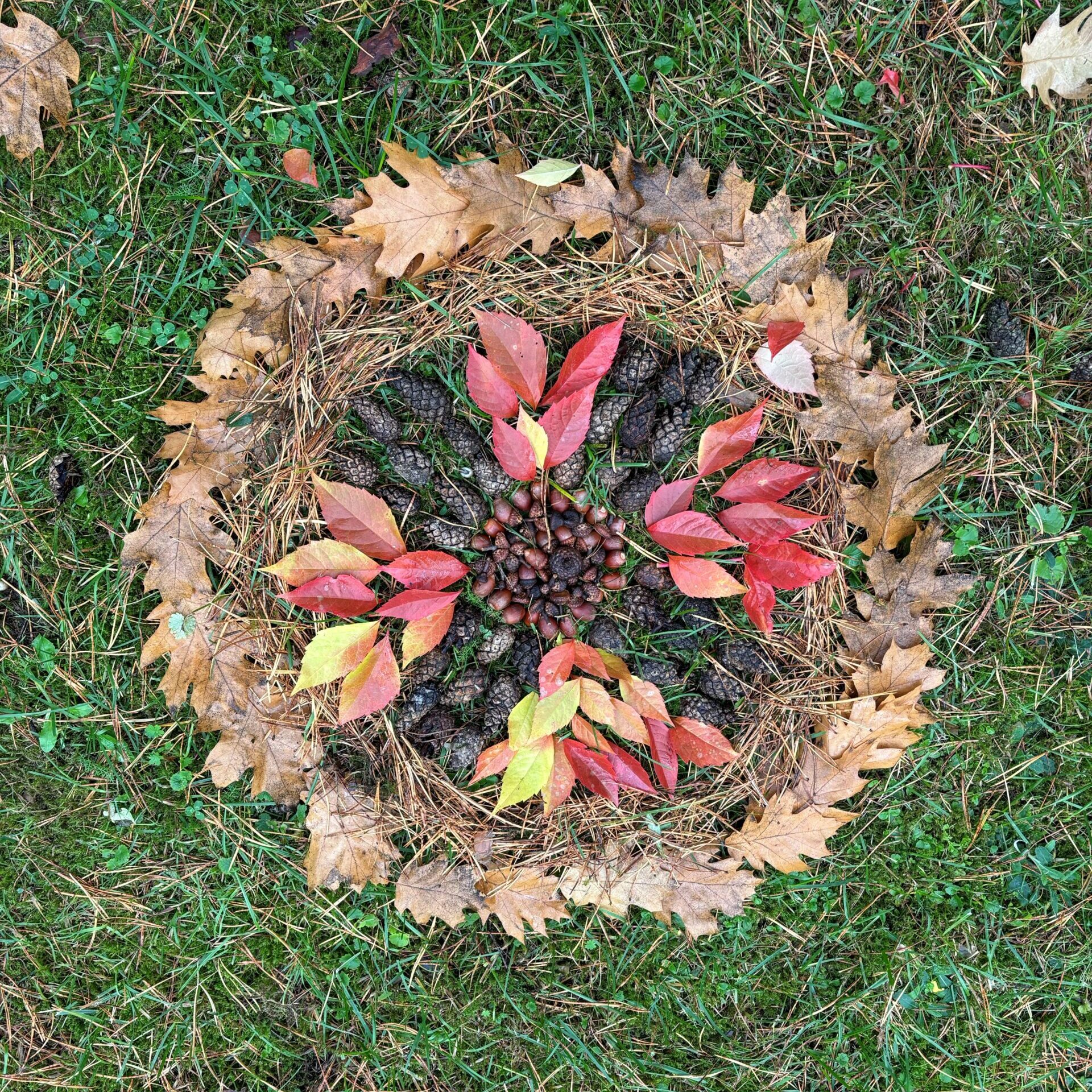 Klimato kaita ir miškai – visą Lietuvą apskriejo Klimato savaitės renginiai