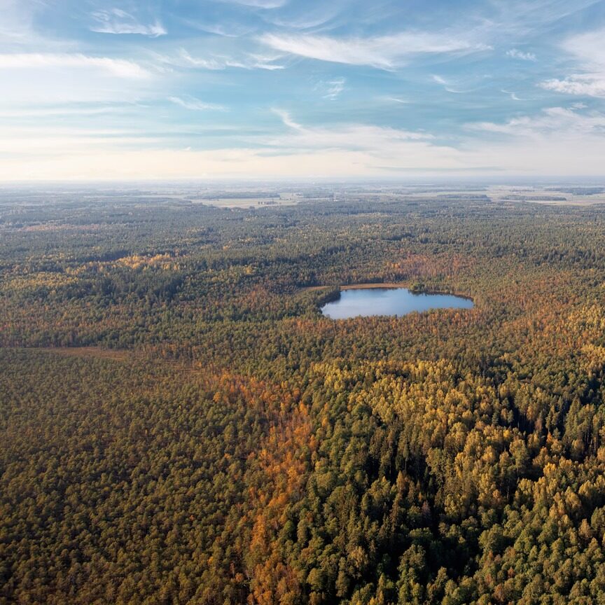 Įmonės veiklos skaidrumui užtikrinti – kompleksiniai sprendimai