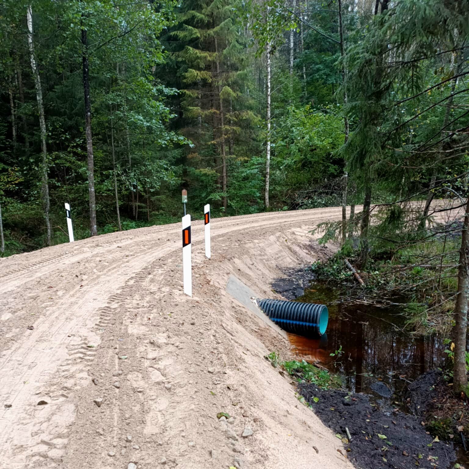 Valstybinių miškų urėdija: Smirdelės pelkėje įgyvendintas hidrologinio režimo atkūrimo projektas