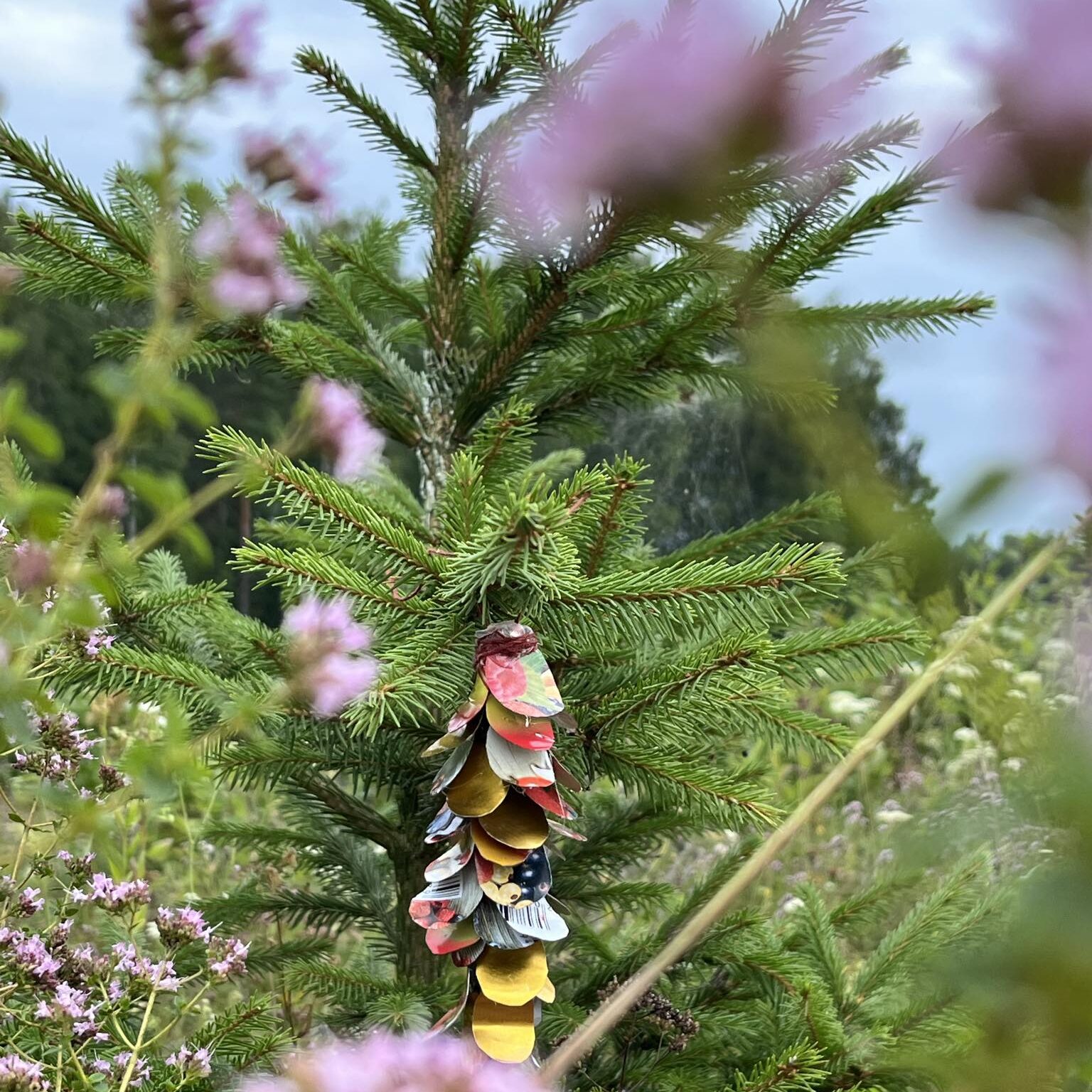„Augu kartu su mišku“: ugdomi fotografijos talentai