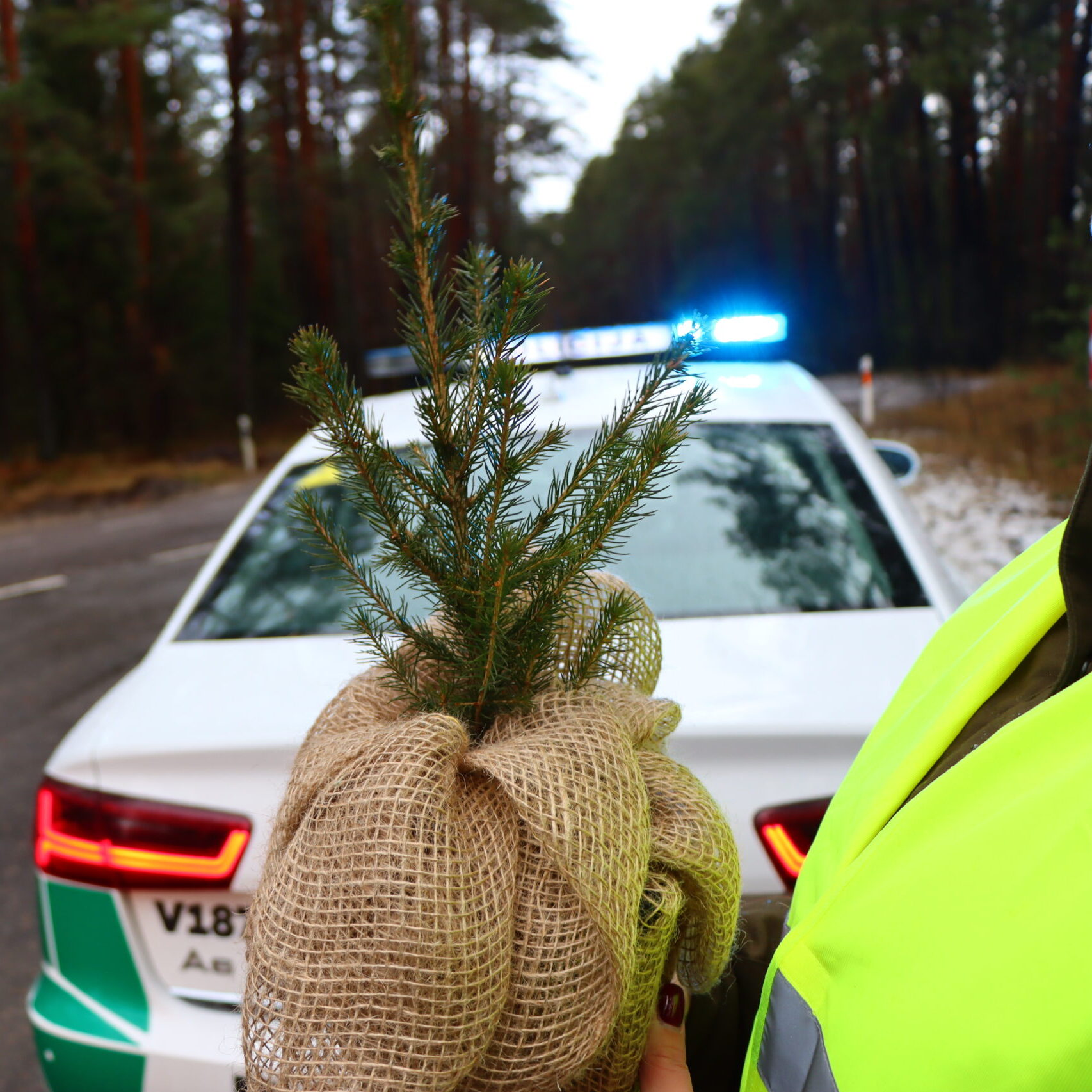 Gruodžio 16 d. stabdomiems vairuotojams – mišku kvepiantys linkėjimai iš miškininkų ir policijos pareigūnų rankų
